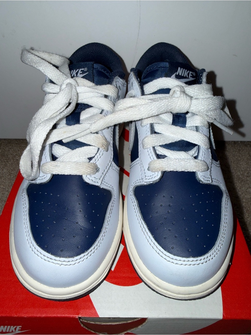 Nike Dunks Kids Navy and White Low-Top Sneakers